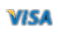 visa_ico